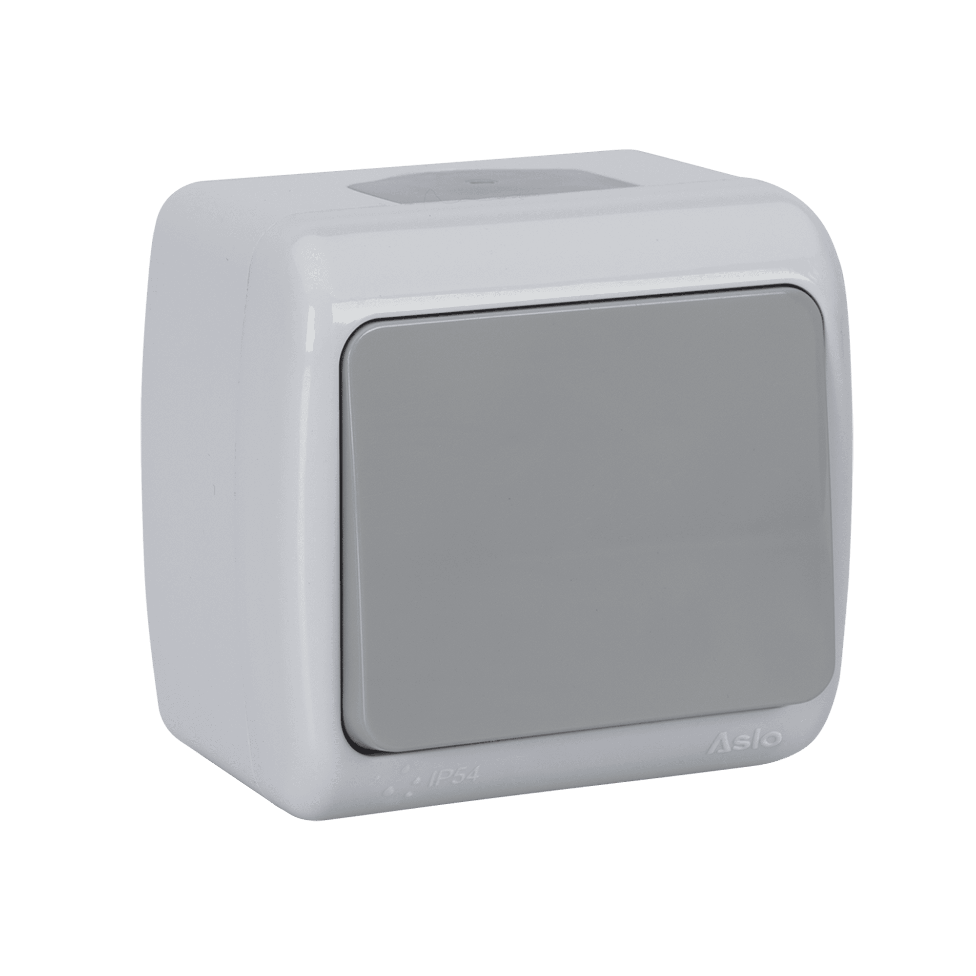 INVERSOR DE GRUPO IP54 10A - 250V CINZA