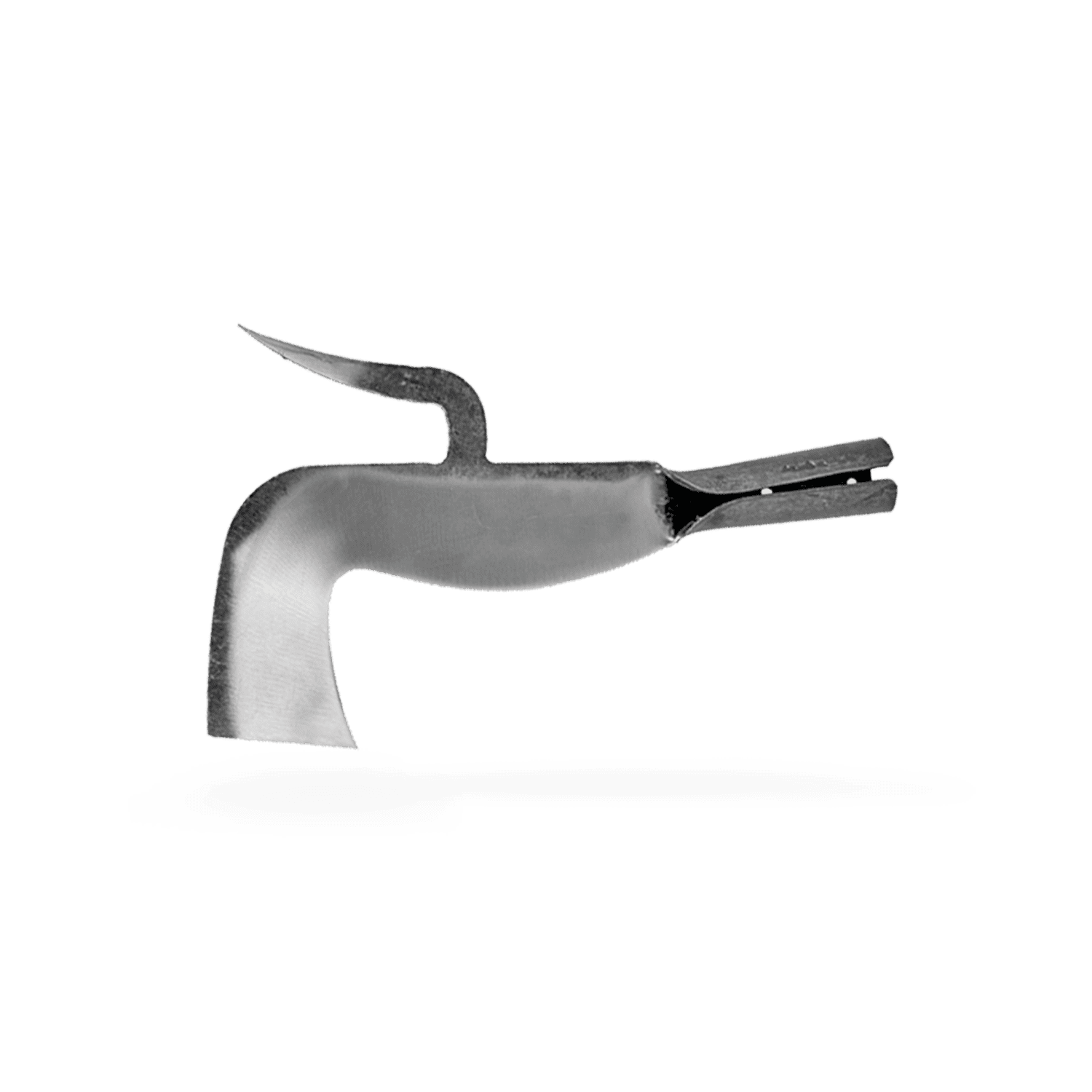 FOICE LEIRIA COM GANCHO