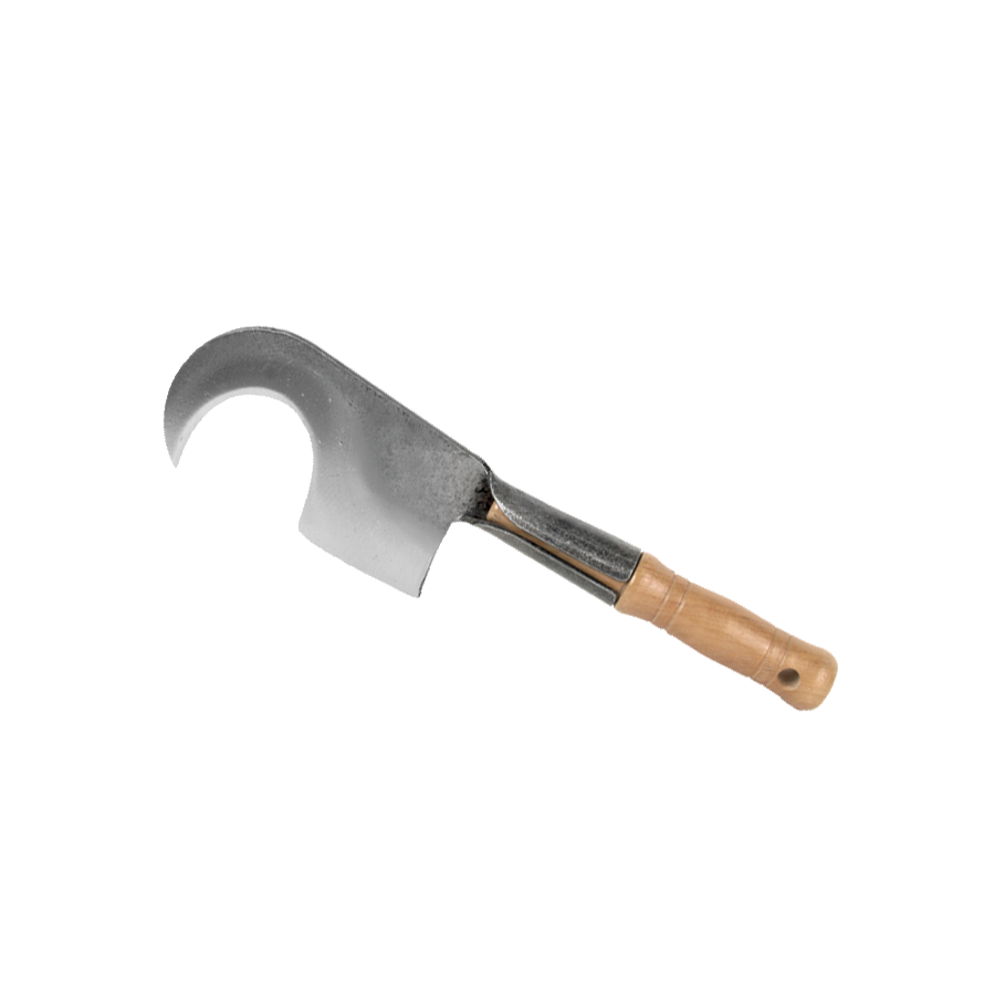 FOICE PENAFIEL COM CABO